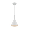 Nuvo Fixture, Pendant, 1-Light, Incandescent, 60W, 120V, A19, Medium Base, Height: 12.50 60/7137